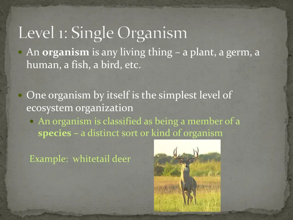 level 1 single organism