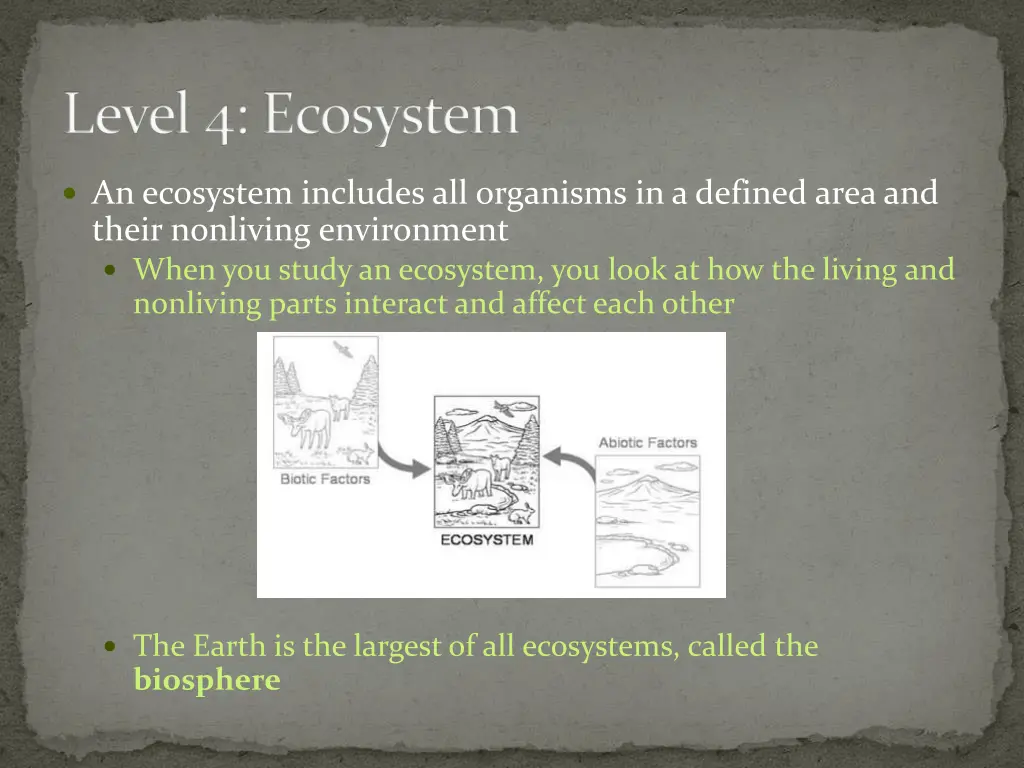 level 4 ecosystem