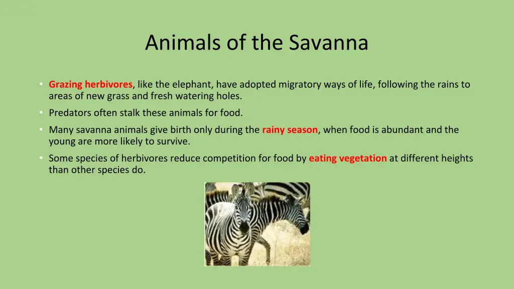 animals of the savanna