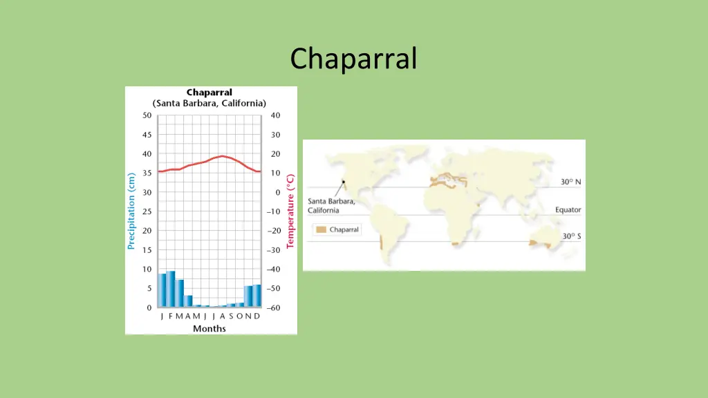 chaparral 1