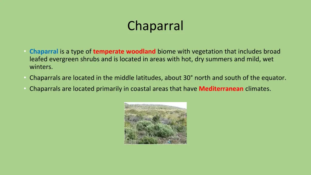 chaparral