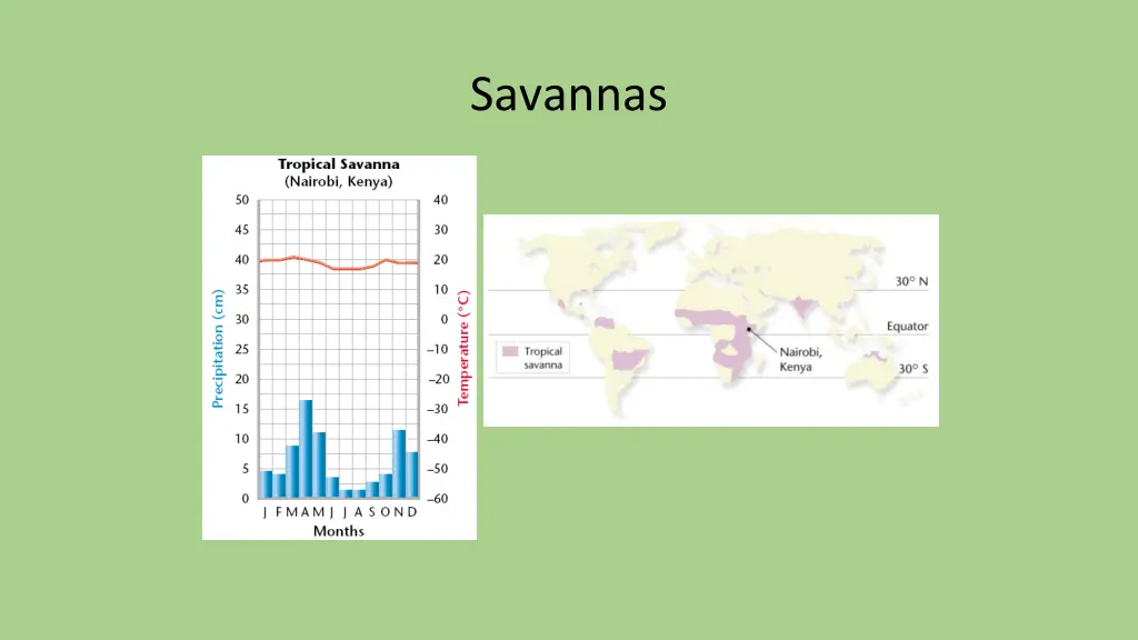 savannas 1