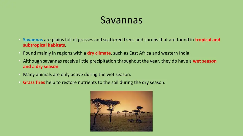 savannas