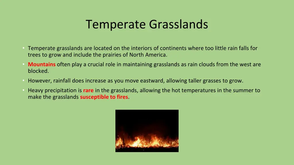 temperate grasslands 1