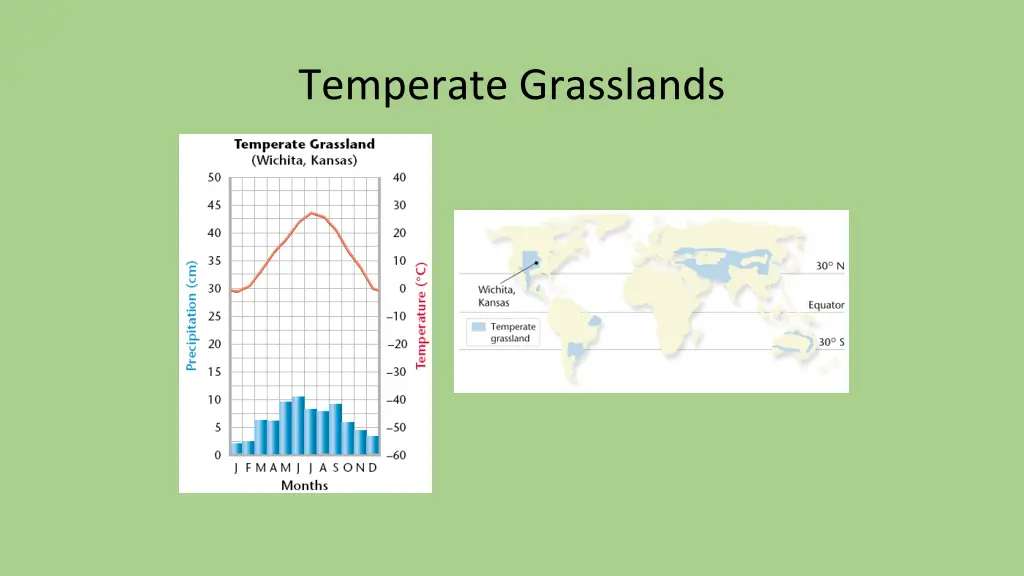 temperate grasslands 2