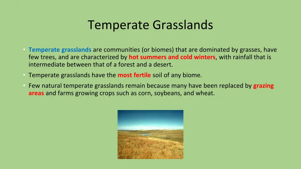 temperate grasslands