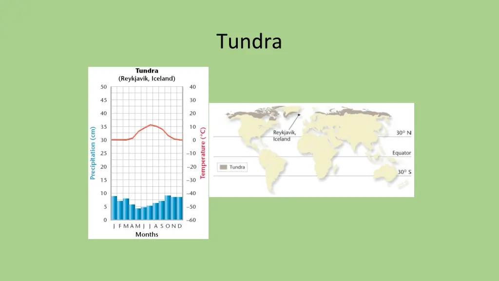 tundra 1