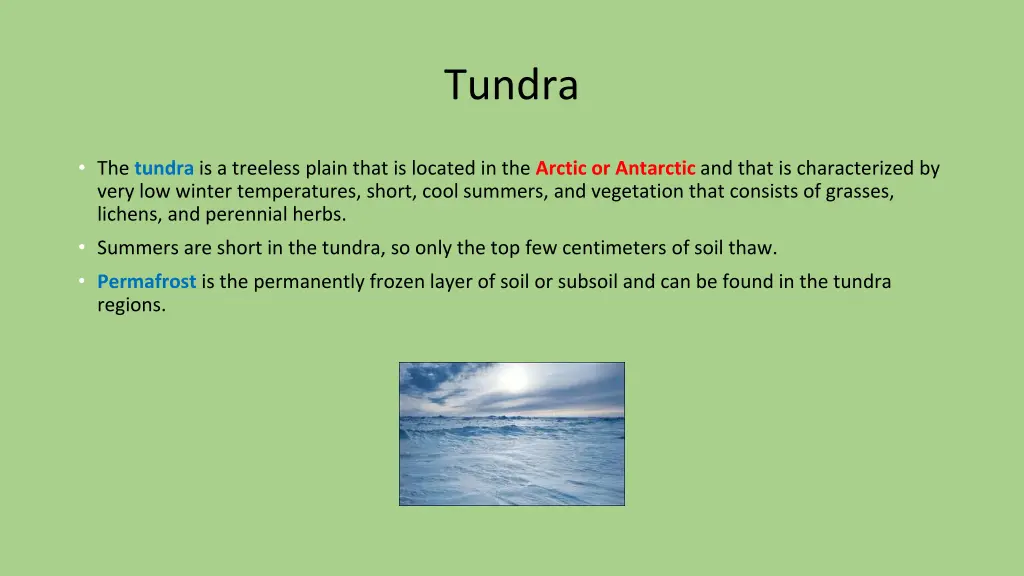 tundra