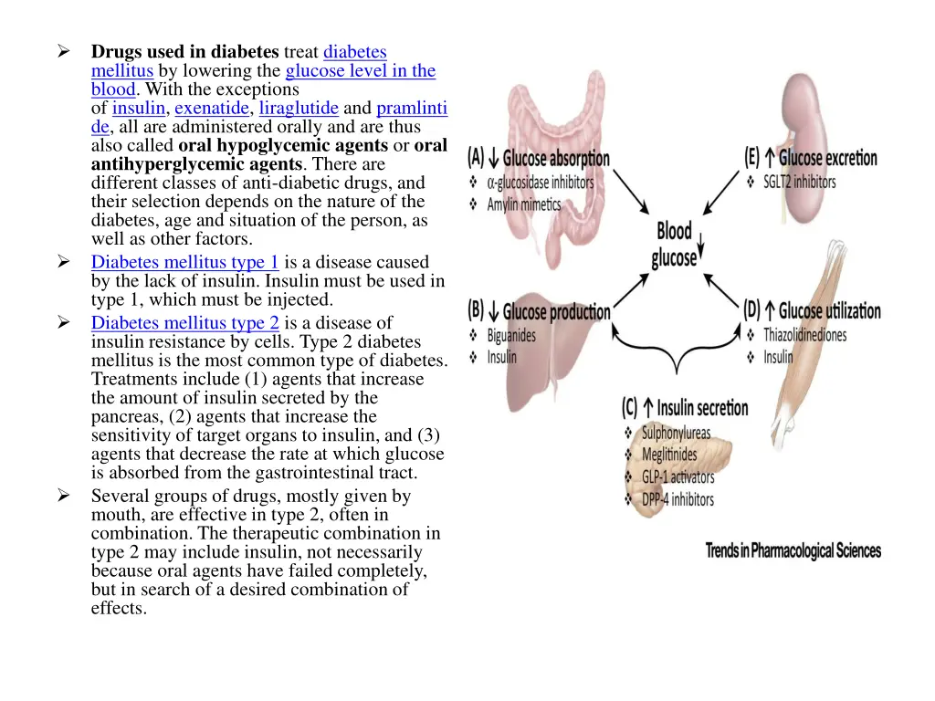 drugs used in diabetes treat diabetes mellitus