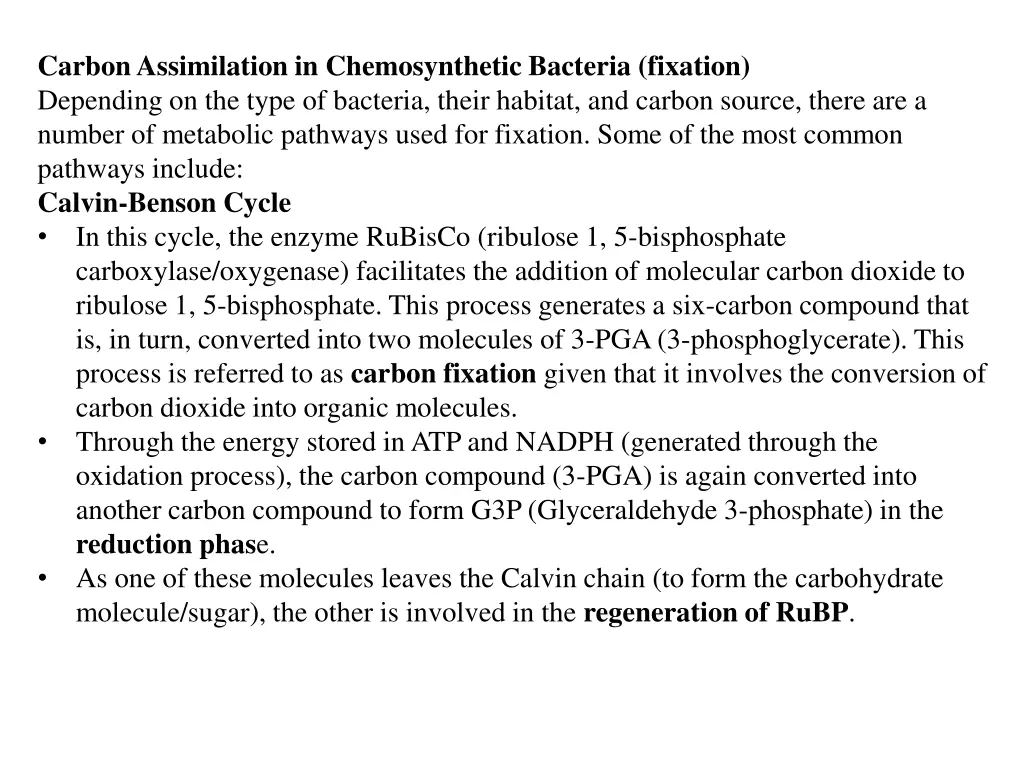 carbon assimilation in chemosynthetic bacteria