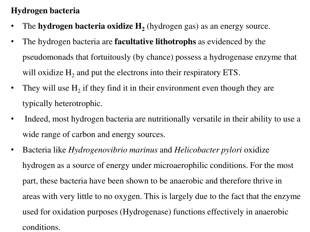 hydrogen bacteria