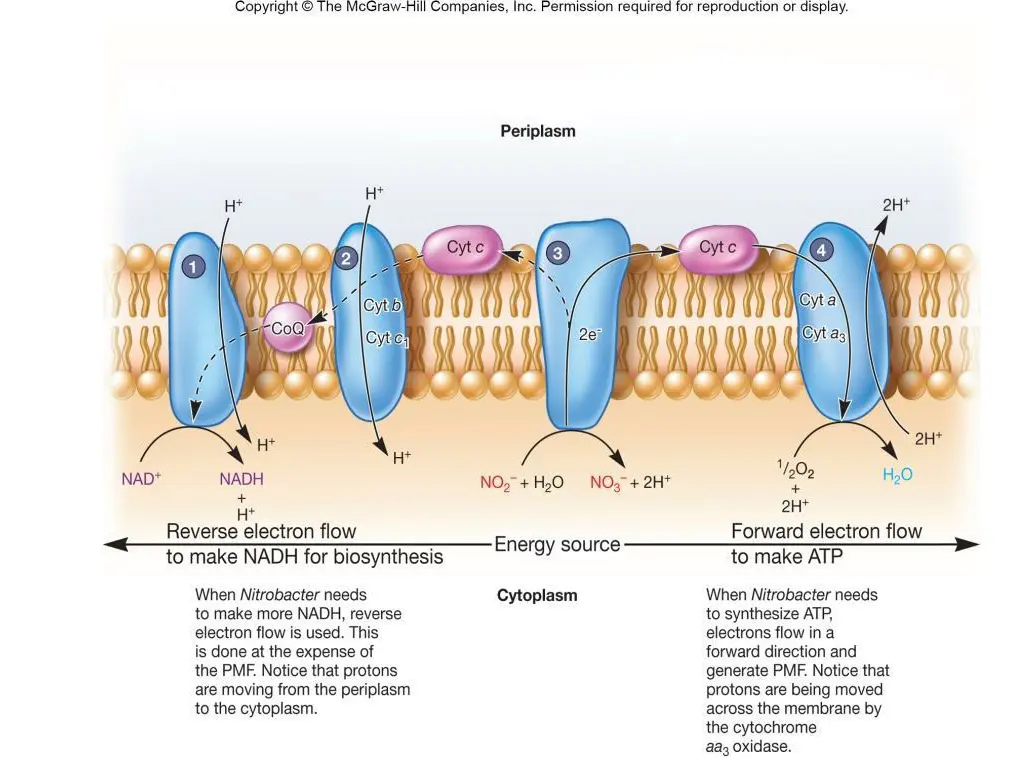 slide11