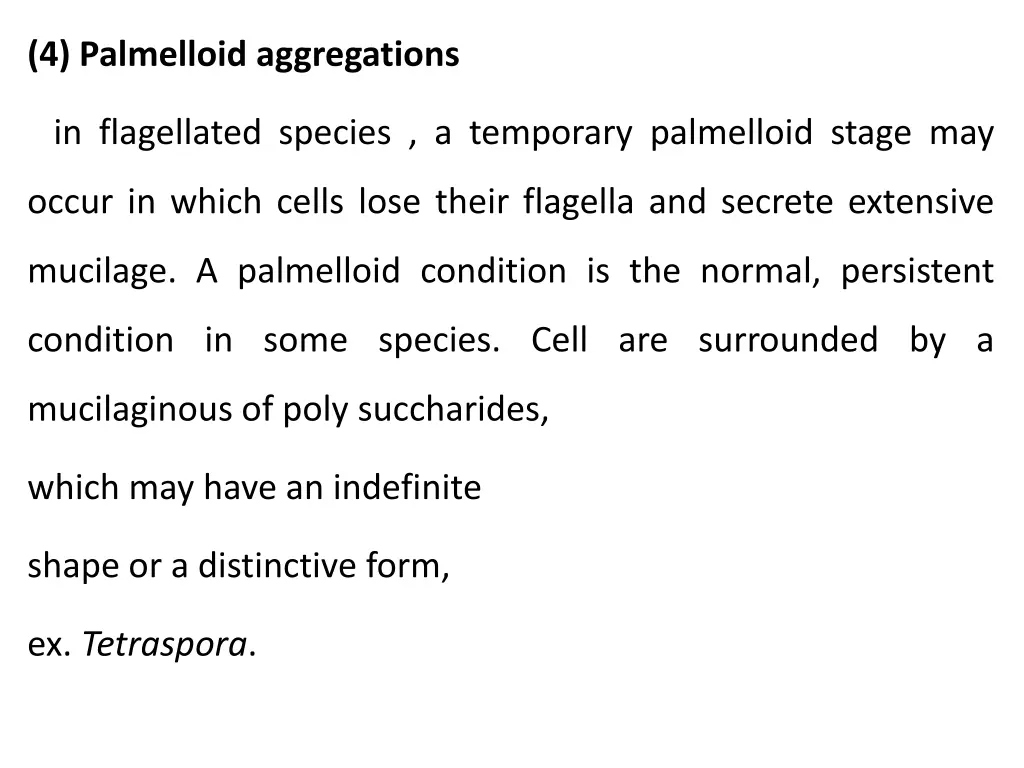 4 palmelloid aggregations