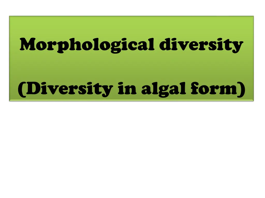 morphological diversity