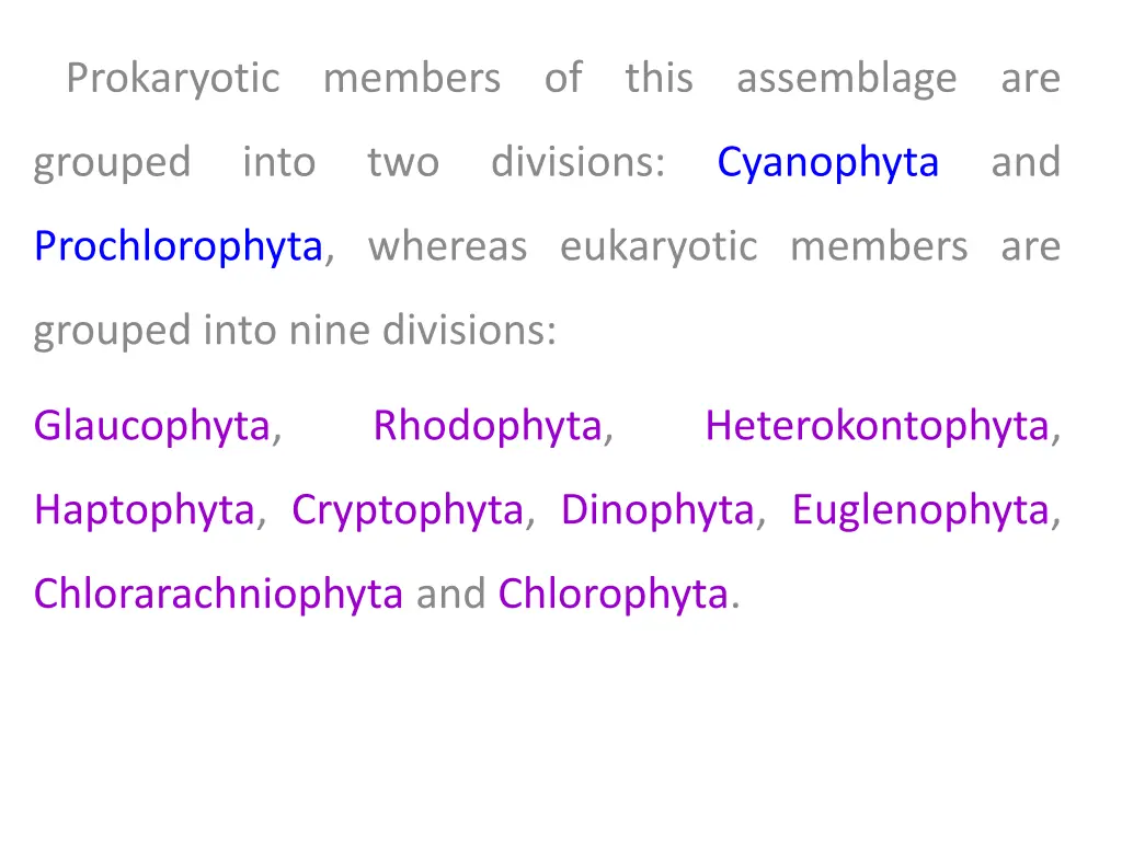 prokaryotic members of this assemblage are