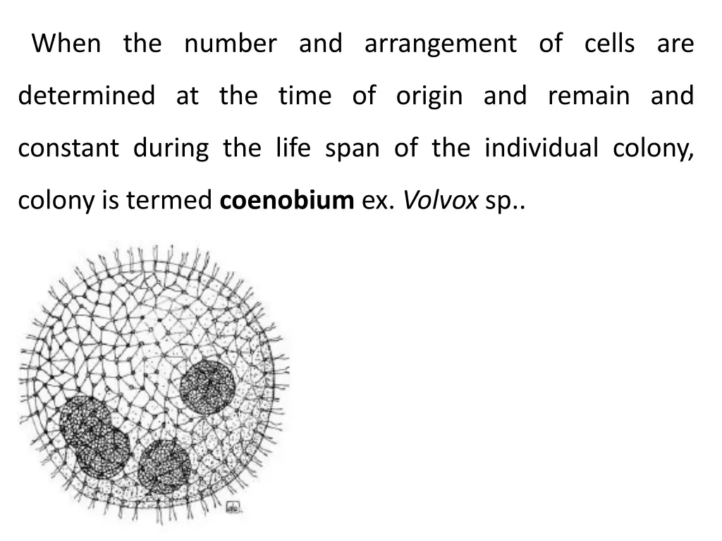 when the number and arrangement of cells are