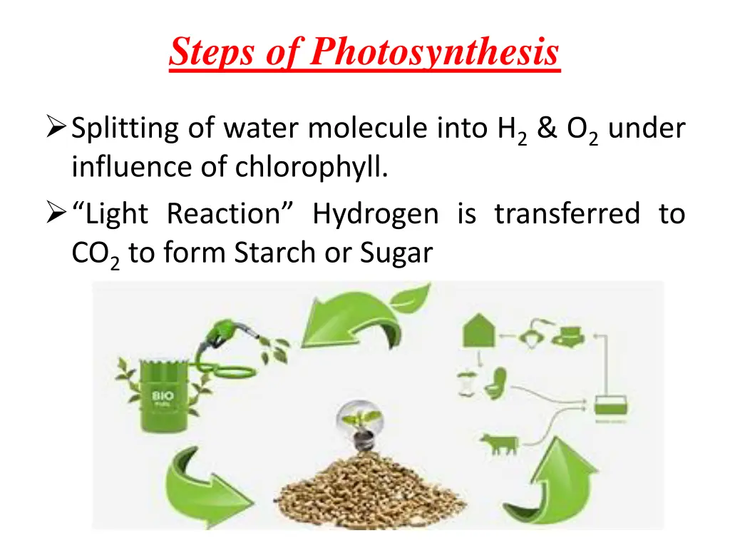 steps of photosynthesis