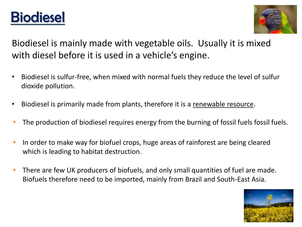 biodiesel