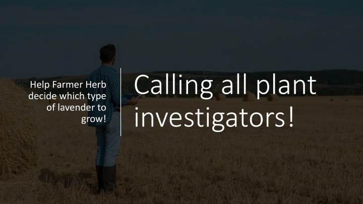 calling all plant investigators