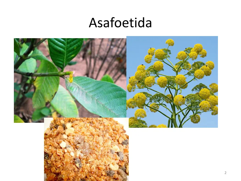 asafoetida