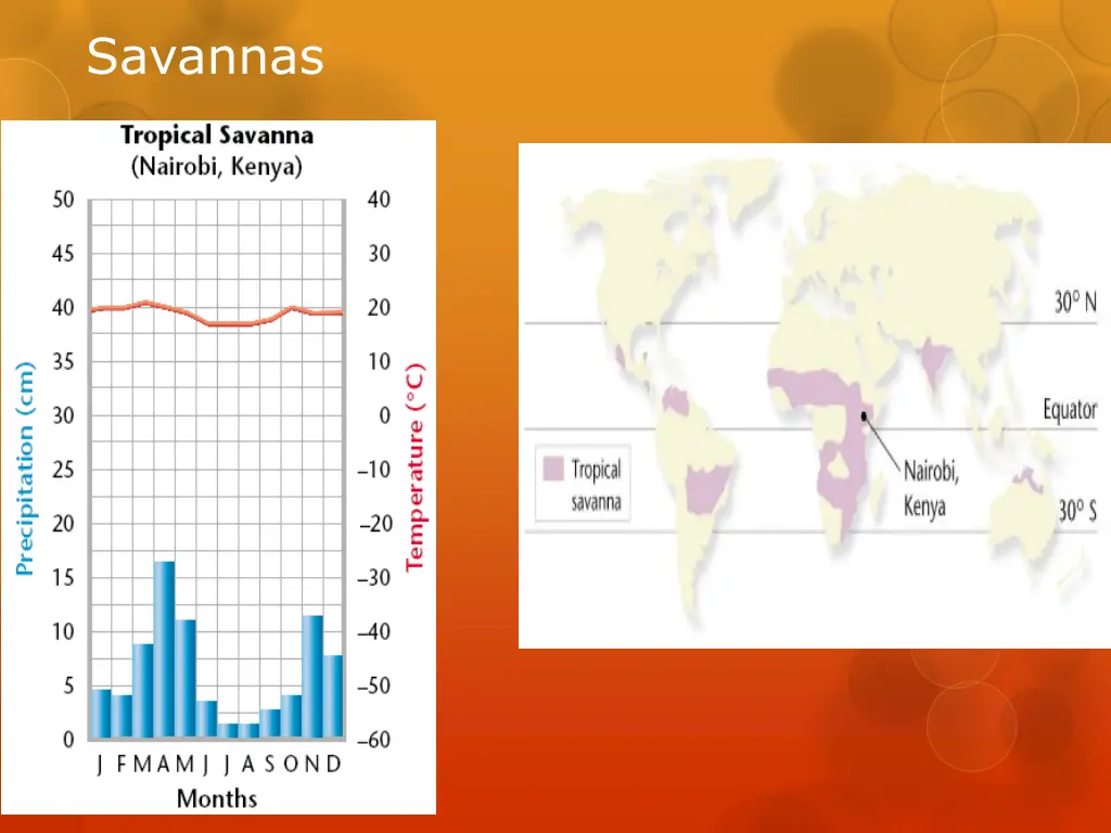 savannas 1