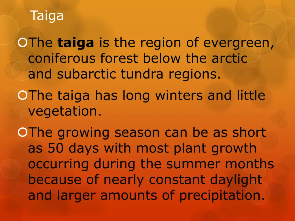 taiga