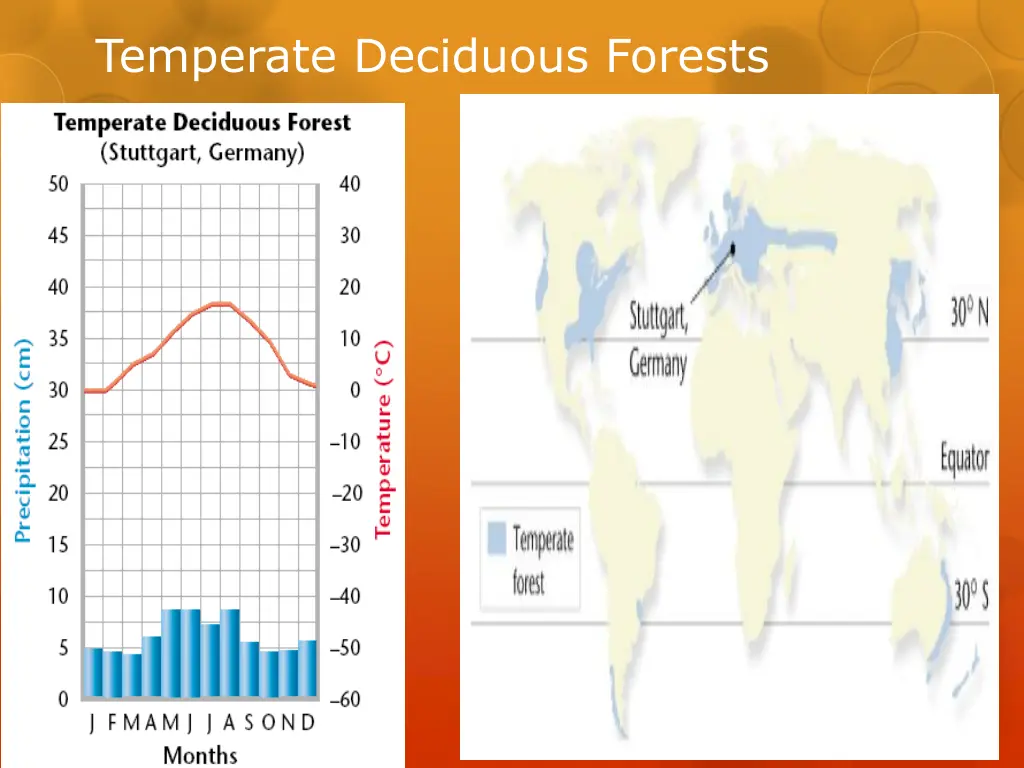 temperate deciduous forests 1