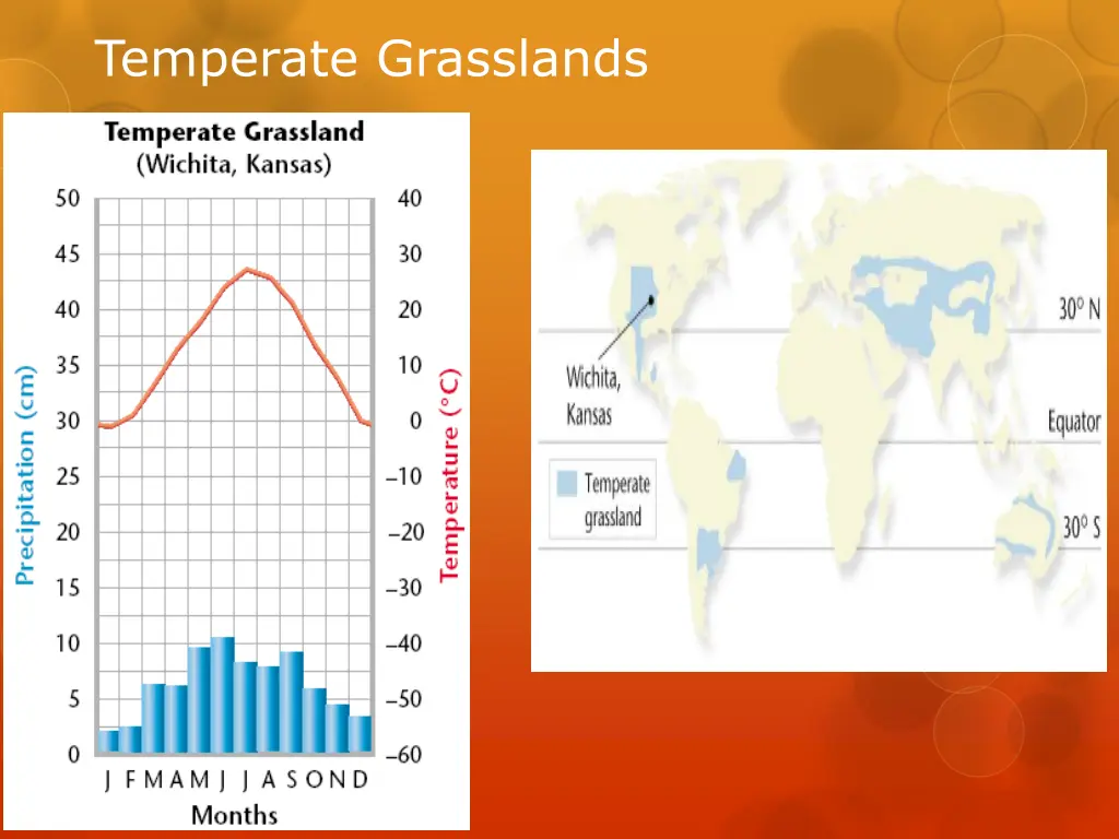 temperate grasslands 2