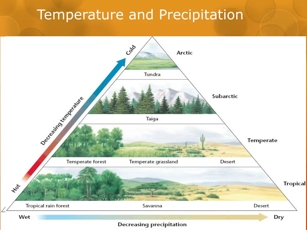 temperature and precipitation 1