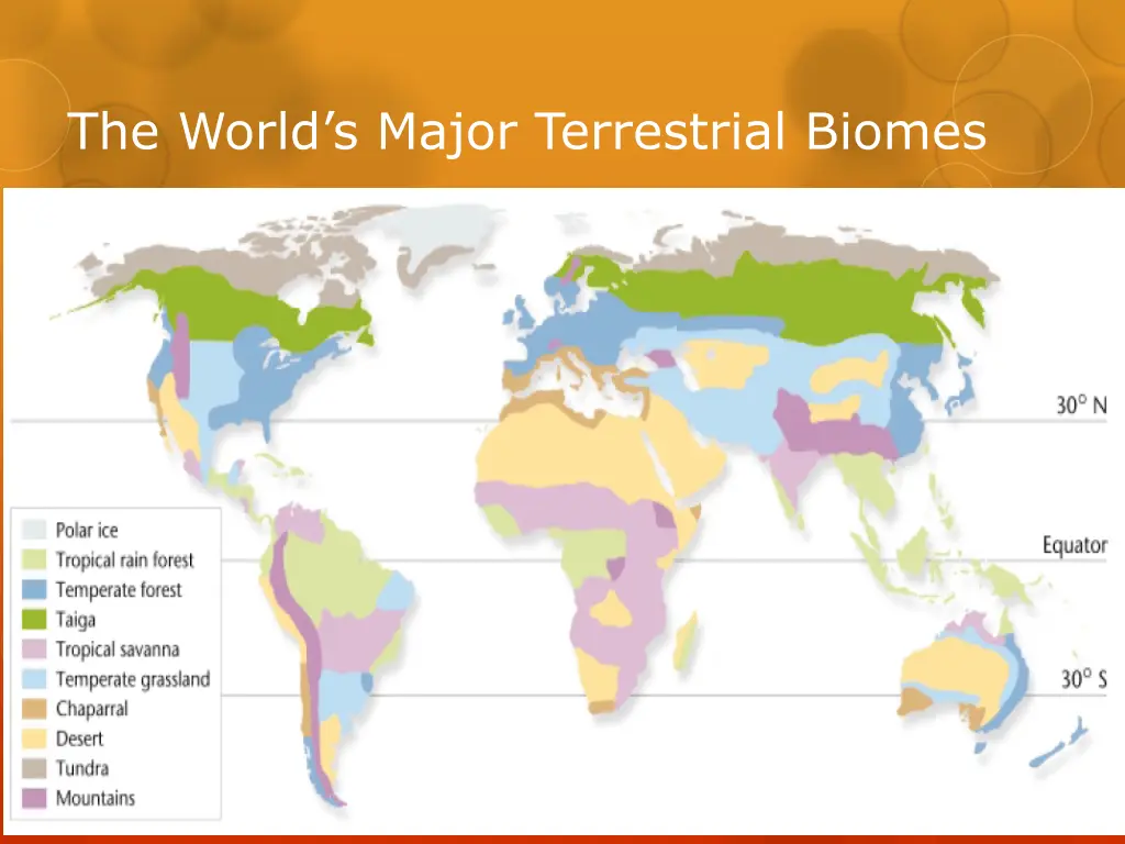 the world s major terrestrial biomes