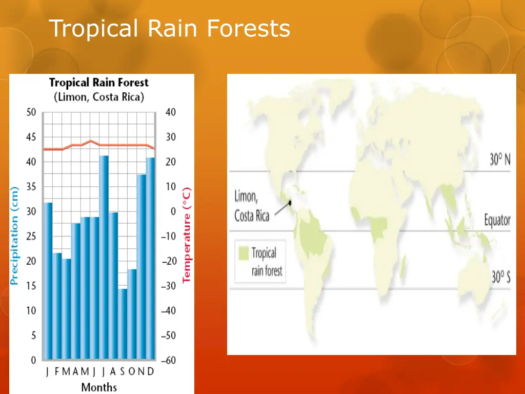 tropical rain forests 1