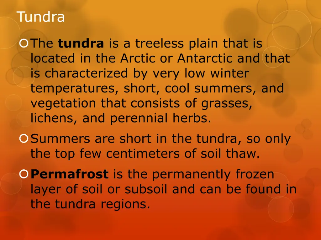 tundra