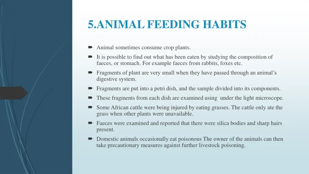 5 animal feeding habits