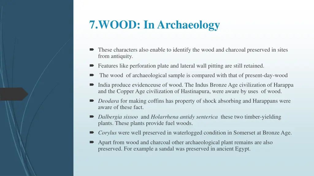 7 wood in archaeology