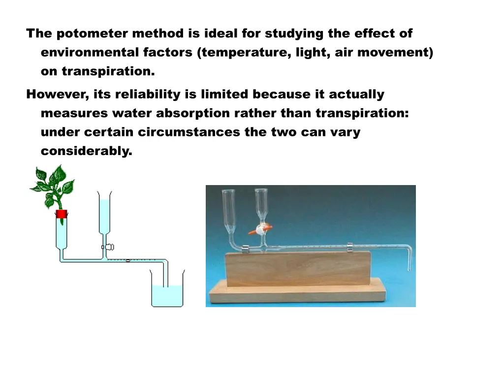 the potometer method is ideal for studying