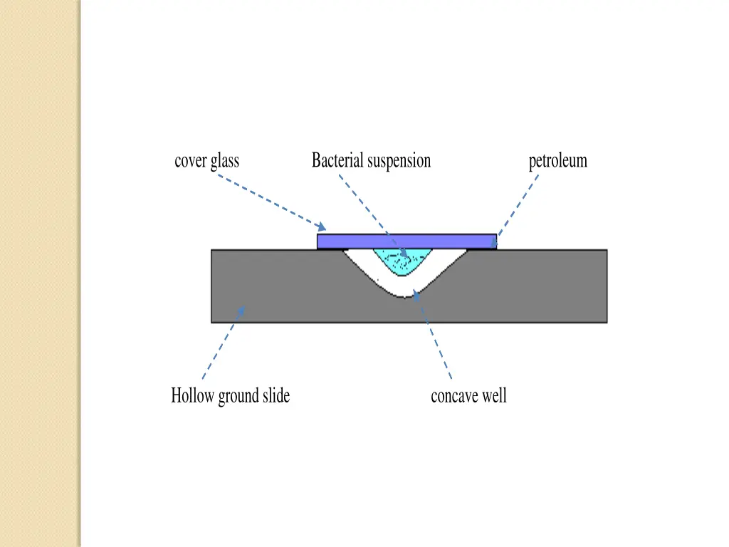 cover glass bacterial suspension petroleum