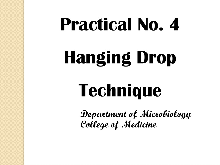 practical no 4