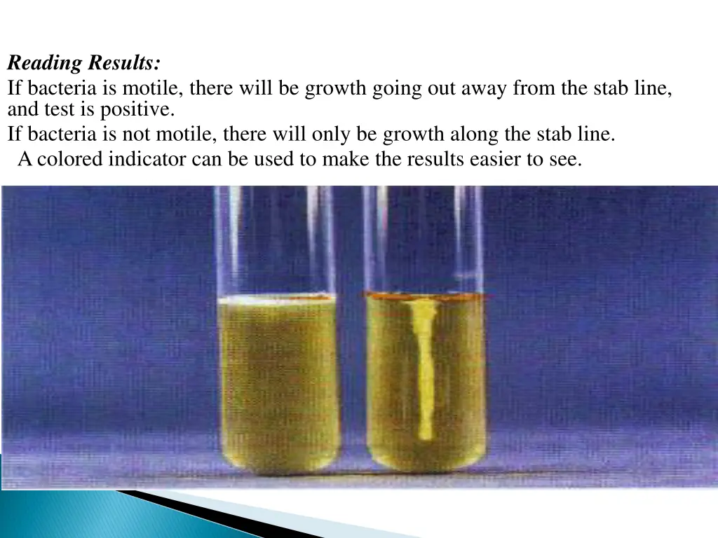 reading results if bacteria is motile there will