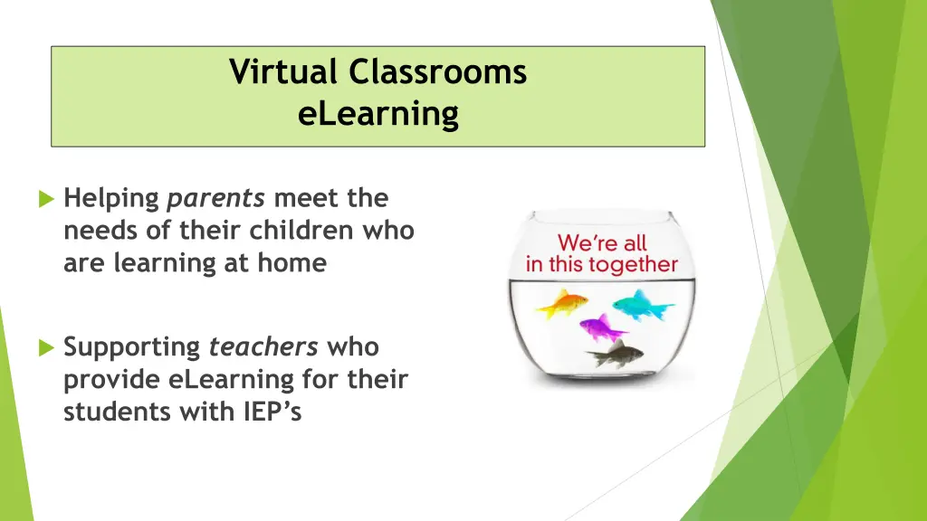 virtual classrooms elearning