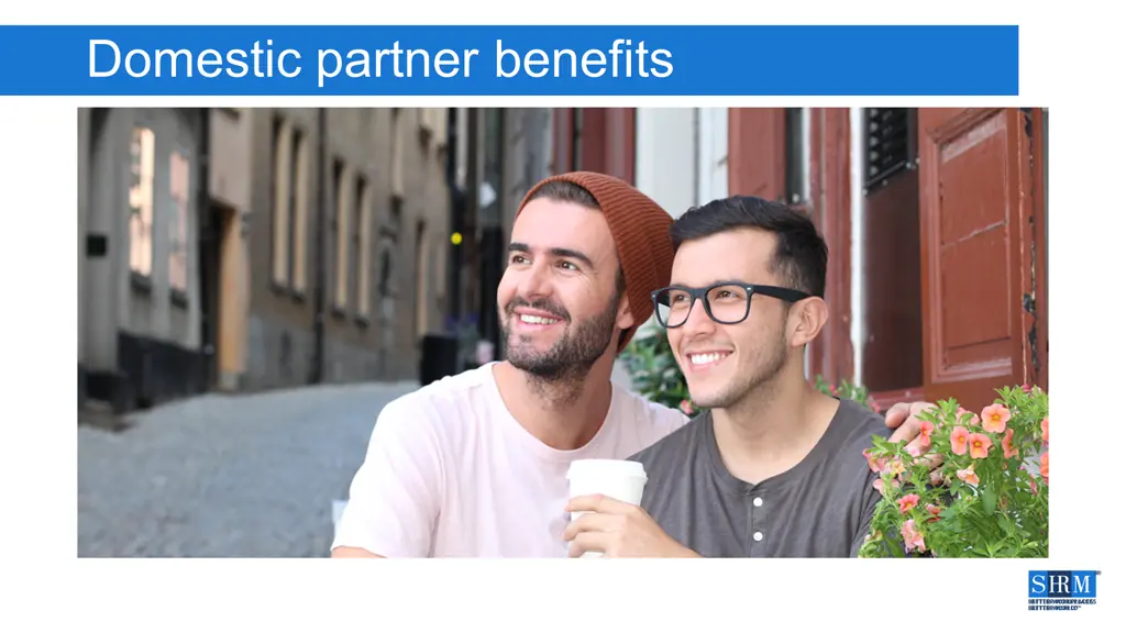 domestic partner benefits