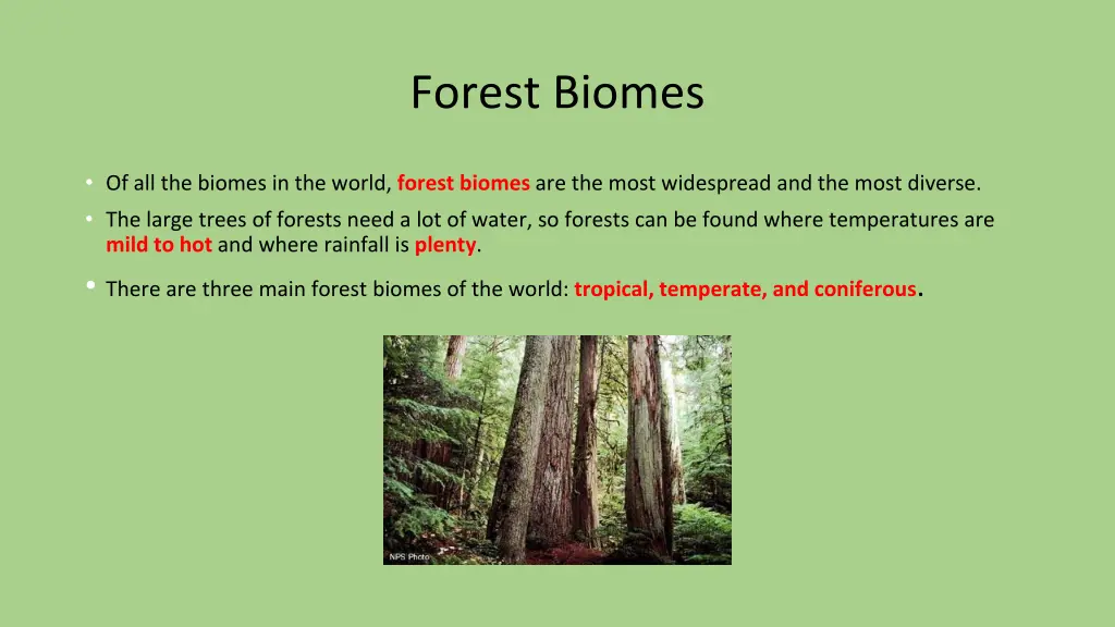 forest biomes