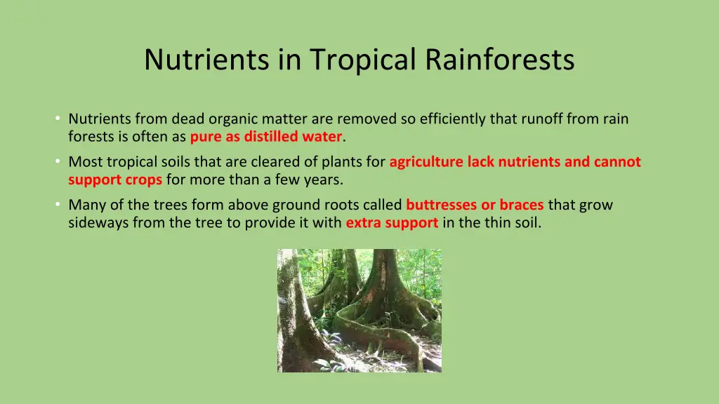 nutrients in tropical rainforests 1