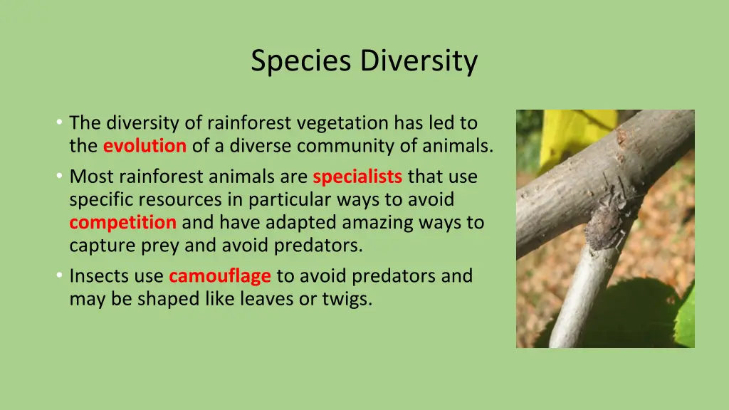 species diversity