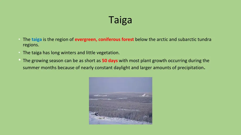 taiga