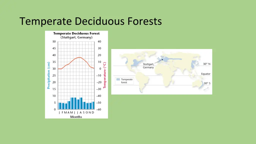 temperate deciduous forests 1