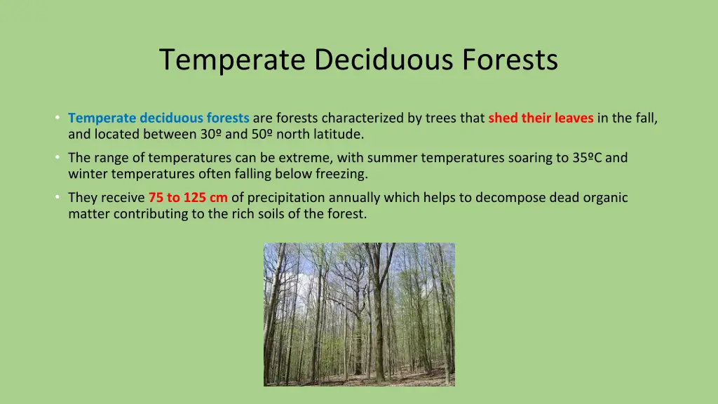 temperate deciduous forests