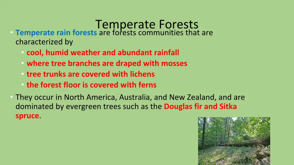 temperate forests