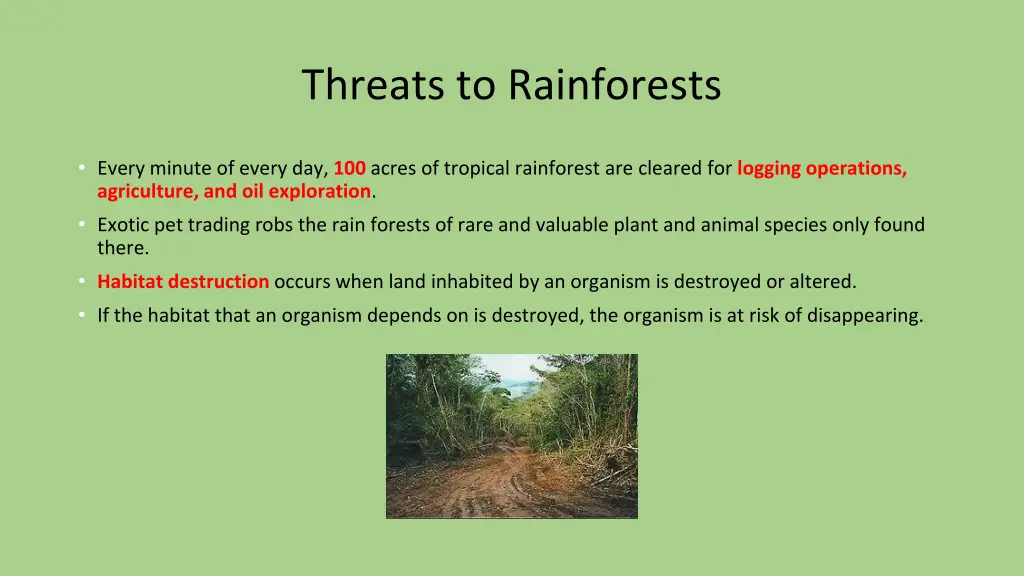 threats to rainforests