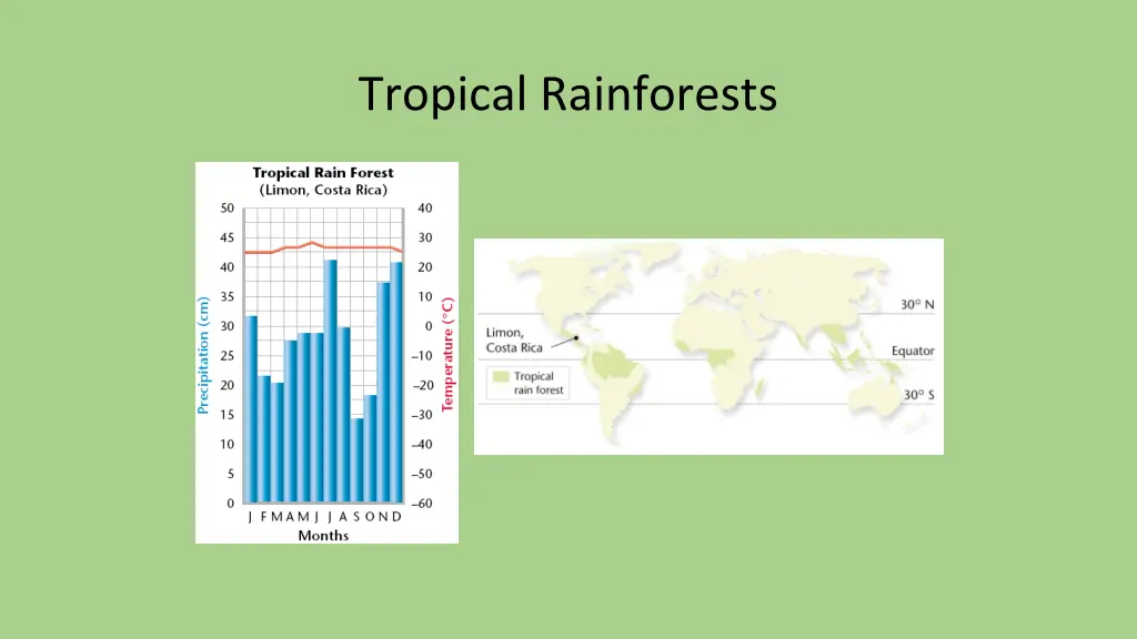 tropical rainforests 1