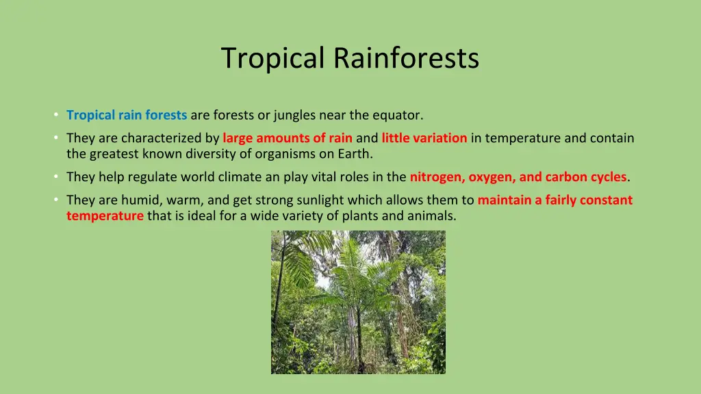 tropical rainforests